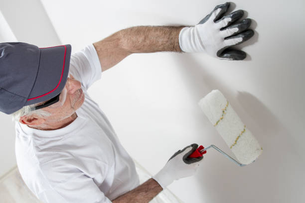 Wallpaper Removal and Painting in Macom, IL